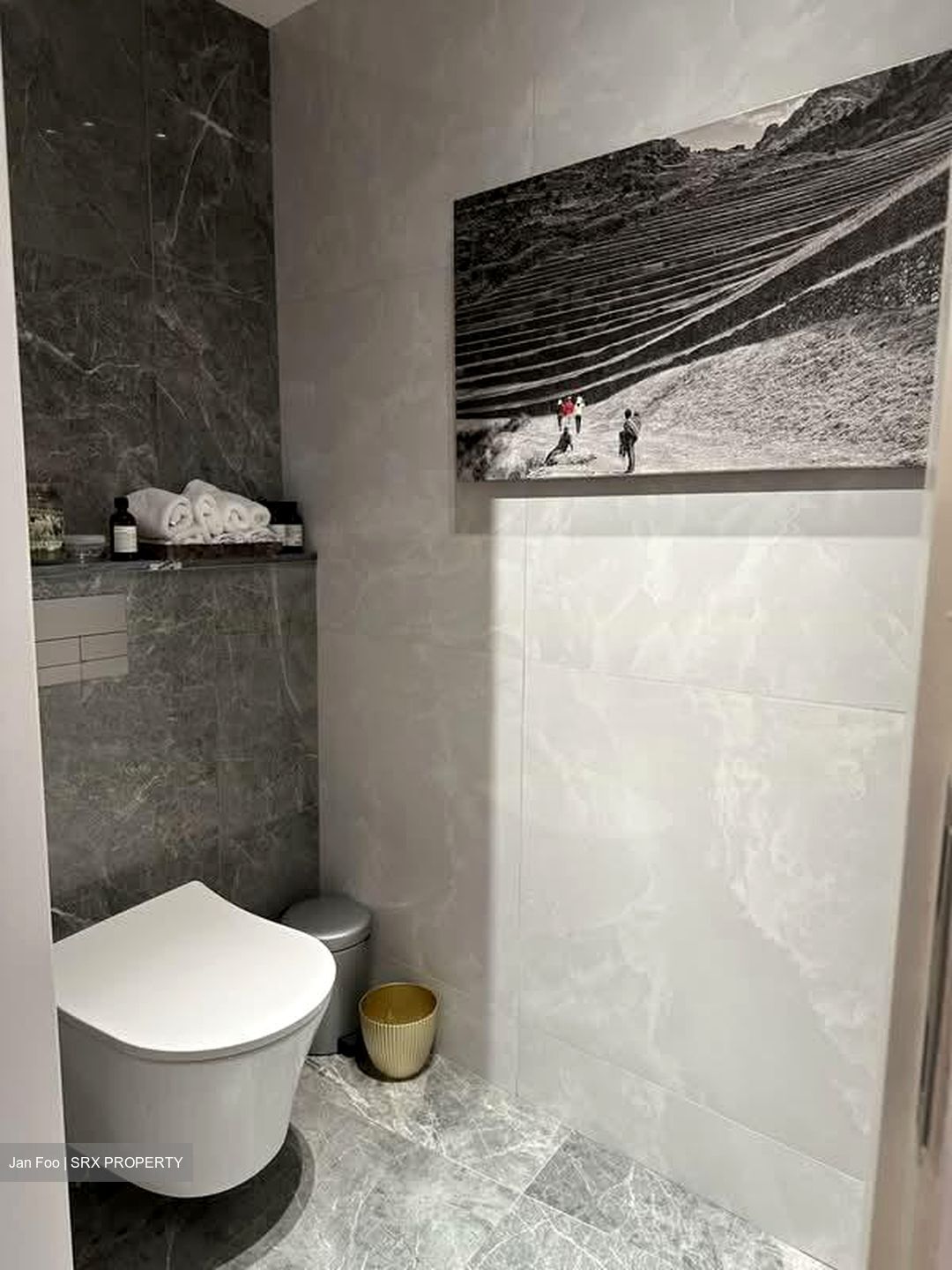 The Draycott (D10), Apartment #568657621